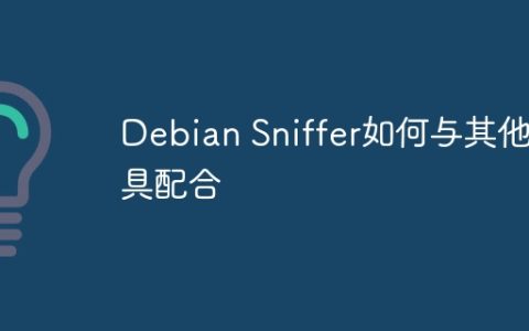 Debian Sniffer如何与其他工具配合