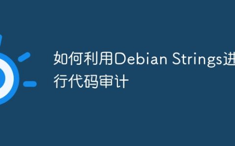 如何利用Debian Strings进行代码审计