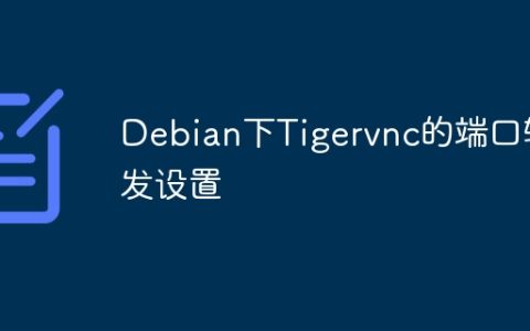Debian下Tigervnc的端口转发设置