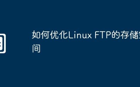 如何优化Linux FTP的存储空间