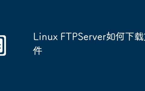 Linux FTPServer如何下载文件