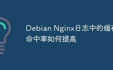Debian Nginx日志中的缓存命中率如何提高