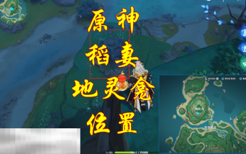 原神稻妻地灵龛在哪里 稻妻地灵龛位置