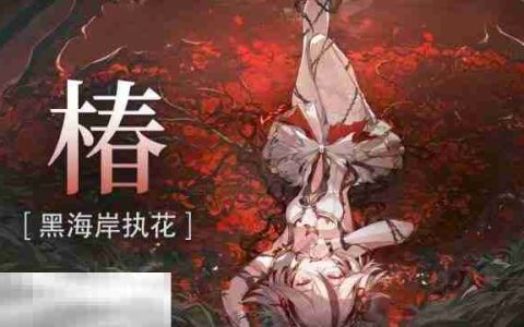 鸣潮2.2版本椿值得抽吗 新版本5星角色椿抽取建议