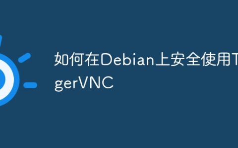 如何在Debian上安全使用TigerVNC
