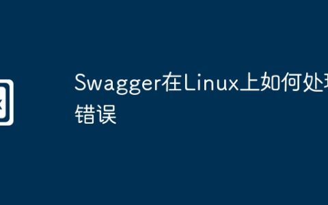 Swagger在Linux上如何处理错误
