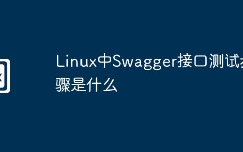 Linux中Swagger接口测试步骤是什么