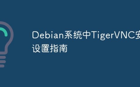 Debian系统中TigerVNC安全设置指南