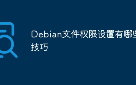 Debian文件权限设置有哪些技巧