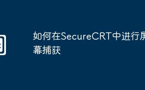 如何在SecureCRT中进行屏幕捕获
