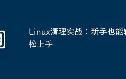 Linux清理实战：新手也能轻松上手