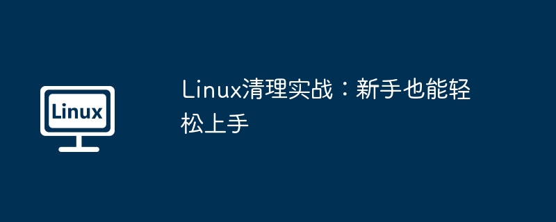 linux清理实战:新手也能轻松上手