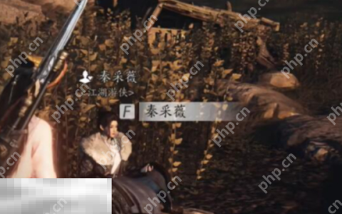 燕云十六声秦采薇怎么结交 秦采薇对话结交攻略