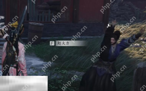 燕云十六声赵大力怎么结交 赵大力对话结交攻略