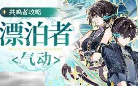 鸣潮2.2版本漂泊者气动值得培养吗 角色简评培养建议