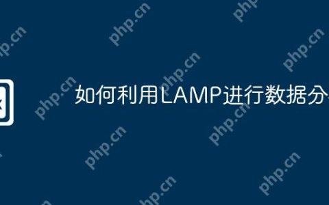 如何利用LAMP进行数据分析