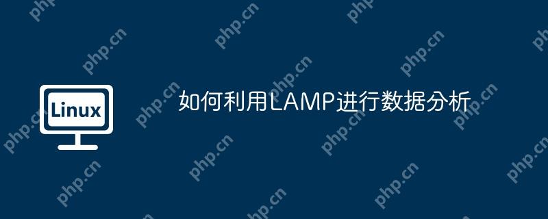 如何利用lamp进行数据分析