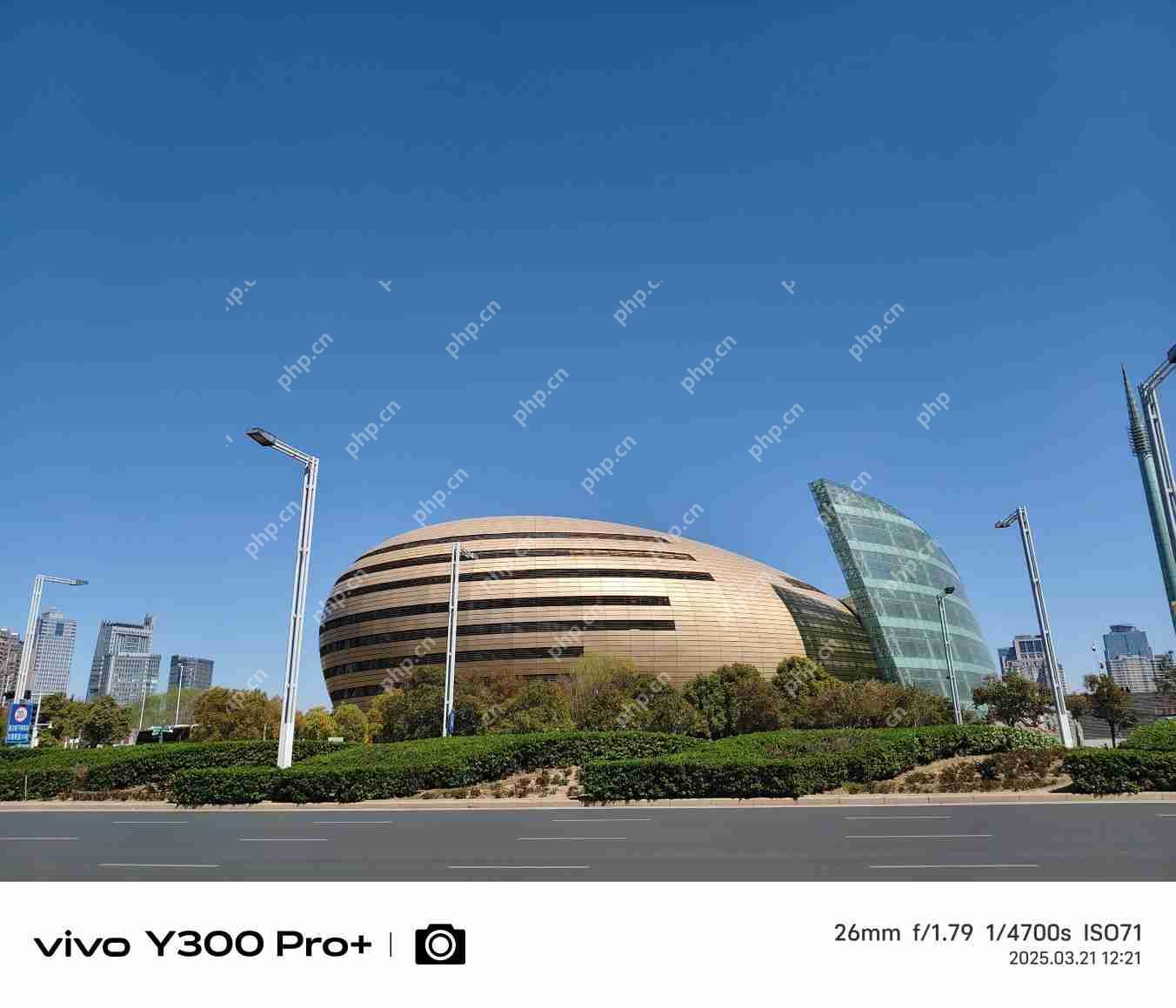 vivo Y300 Pro+评测:同档续航最强?