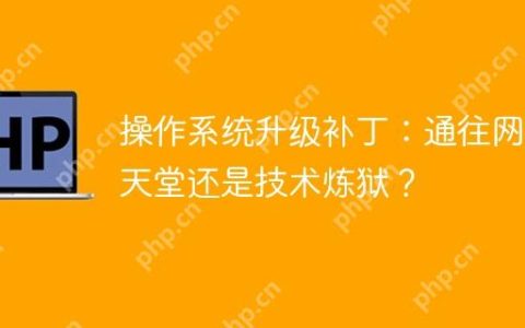 操作系统升级补丁：通往网络天堂还是技术炼狱？