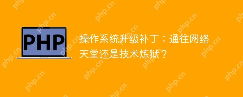 操作系统升级补丁:通往网络天堂还是技术炼狱?