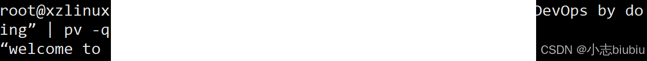 好玩的linux指令,快来试试吧【ubuntu】