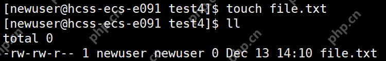 【Linux】软硬链接