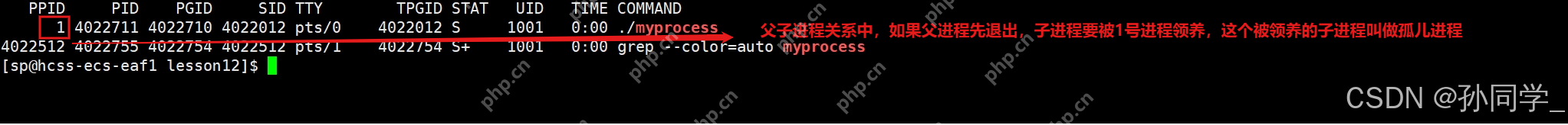 【Linux篇】进程状态(僵尸进程,孤儿进程),优先级与调度机制