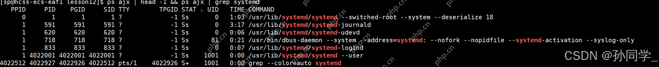 【Linux篇】进程状态(僵尸进程,孤儿进程),优先级与调度机制