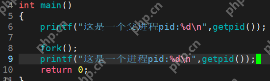 【Linux系统编程】—— 深度解析进程等待与终止：系统高效运行的关键