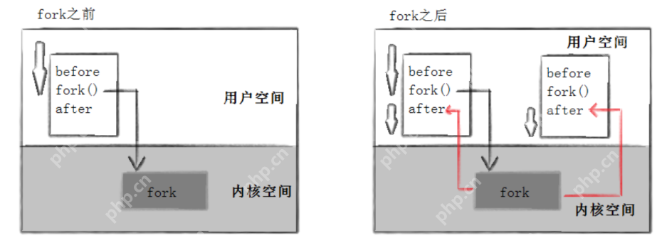 【Linux系统编程】—— 深度解析进程等待与终止：系统高效运行的关键