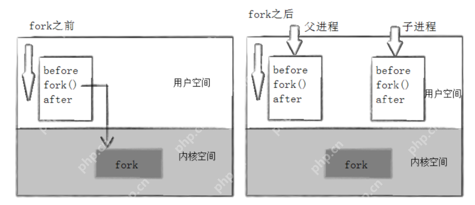 【Linux系统编程】—— 深度解析进程等待与终止：系统高效运行的关键