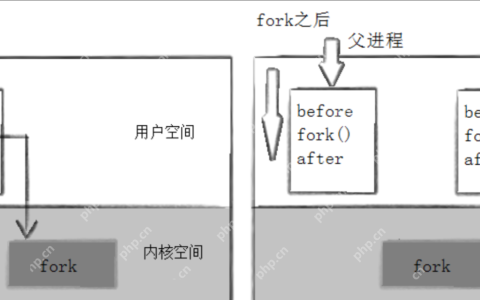 Linux系统编程:进程控制(创建,终止,等待)
