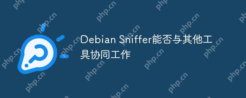 Debian Sniffer能否与其他工具协同工作