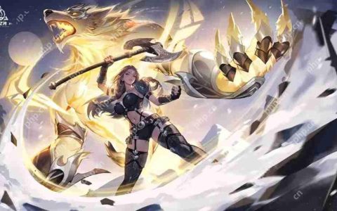 火炬之光无限伤害加成原理指南