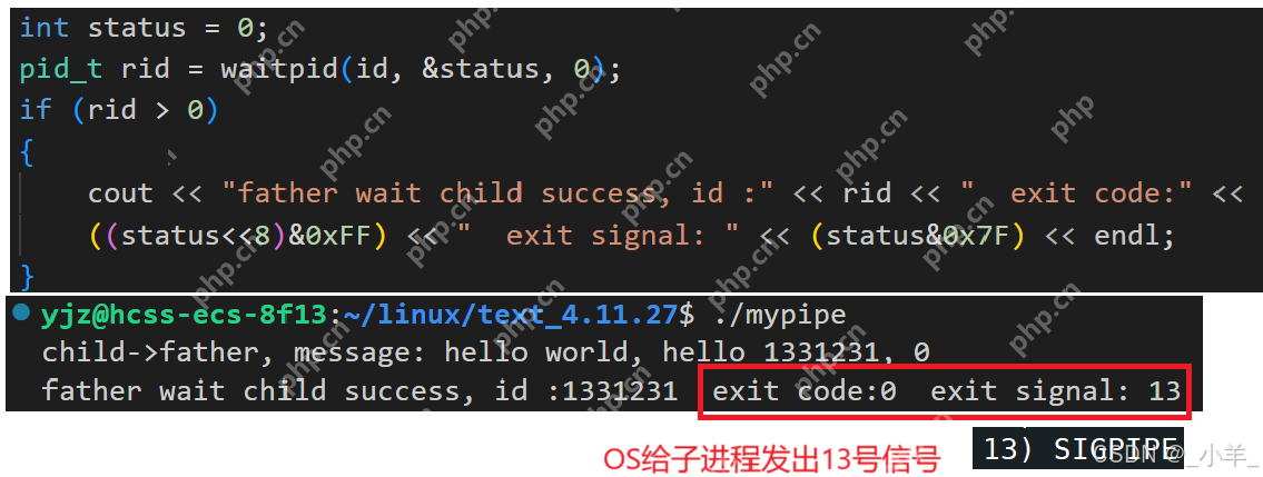 【Linux】IPC:匿名管道、命名管道、共享内存
