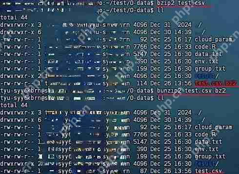 效率翻倍!Linux 文件压缩与解压技术详解