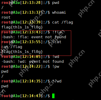 命令执行一些特殊作用的字符 | Linux Bypass