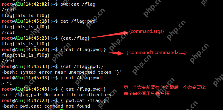 命令执行一些特殊作用的字符 | Linux Bypass