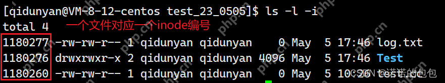 【Linux】基础IO_文件系统