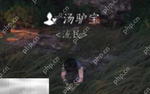燕云十六声汤驴宝怎么结交 汤驴宝对话结交攻略
