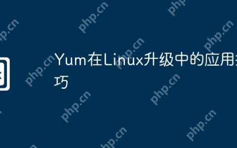 Yum在Linux升级中的应用技巧