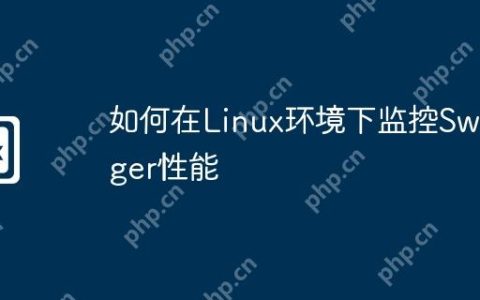 如何在Linux环境下监控Swagger性能