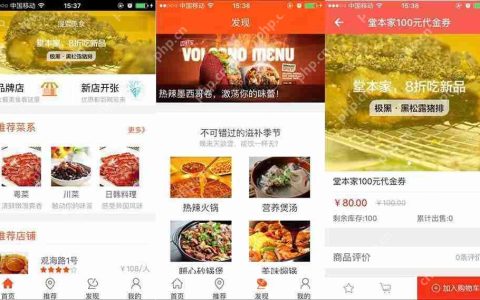开源框架在车载APP开发中的应用研究