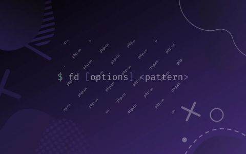 Linux显示文件描述符命令：fd