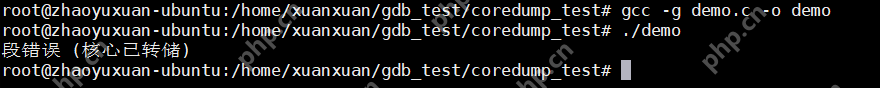 【Linux】Coredump调试