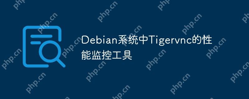 Debian系统中Tigervnc的性能监控工具