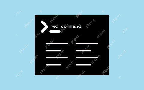 在Linux中如何使用`wc`命令进行字符统计？