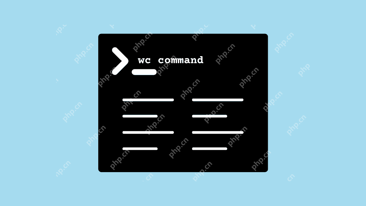 在Linux中如何使用`wc`命令进行字符统计?