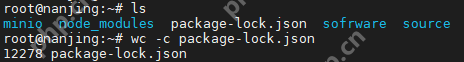 在Linux中如何使用`wc`命令进行字符统计?