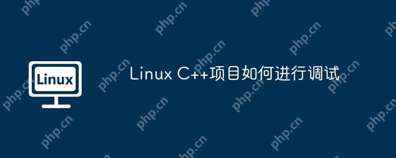 Linux C++项目如何进行调试